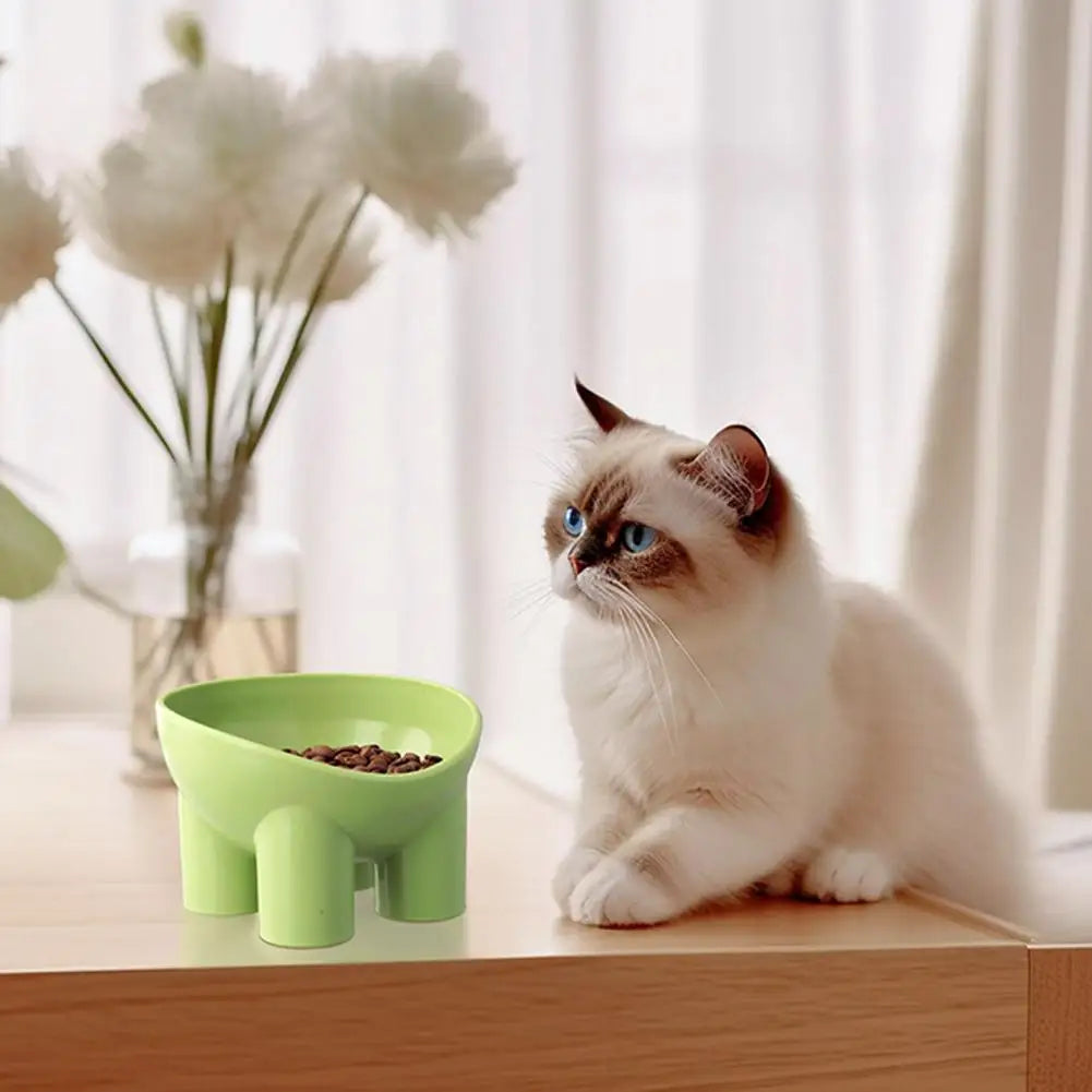 Tilted Raised Cat Bowl