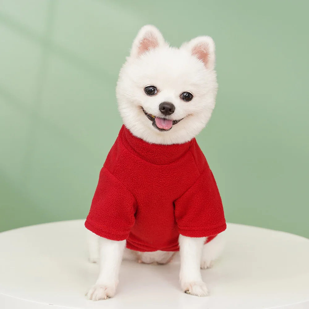 Classic Solid Hoodie