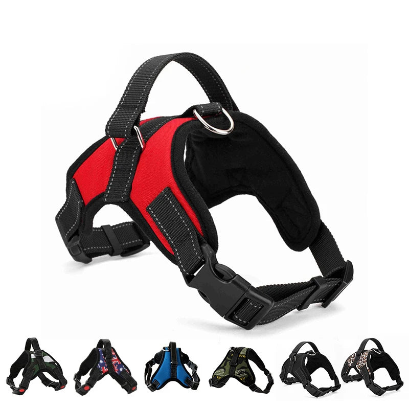 Quick-Release Vest Harness