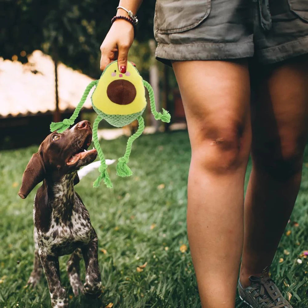 Avocado Octopus Knot Toy