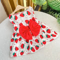 Bow & Lace Summer Dress