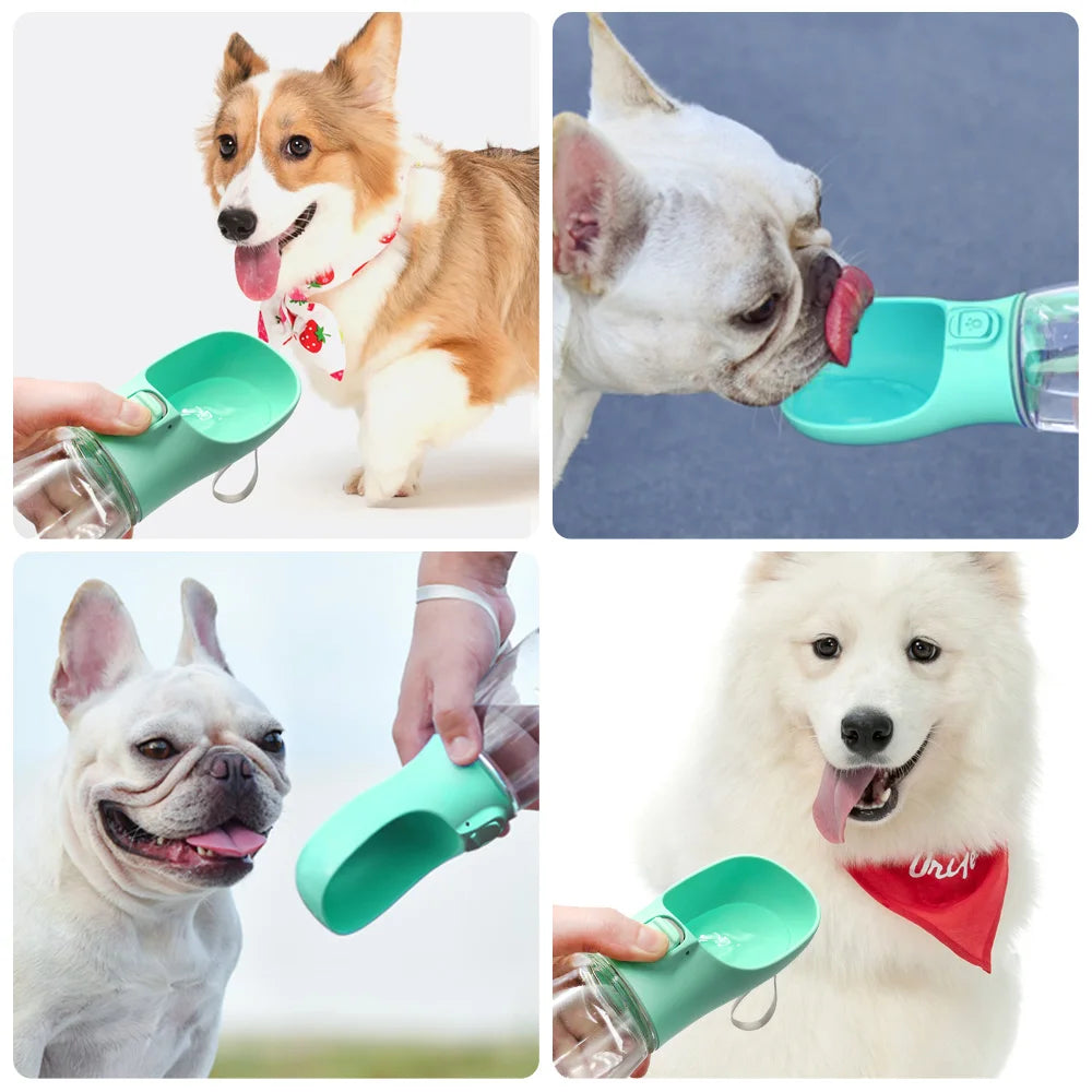 Leak-Proof Travel Water Bottle