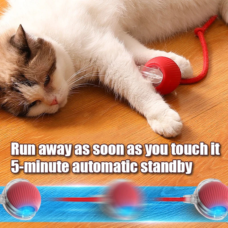 Rolling Ball with Mouse Tail