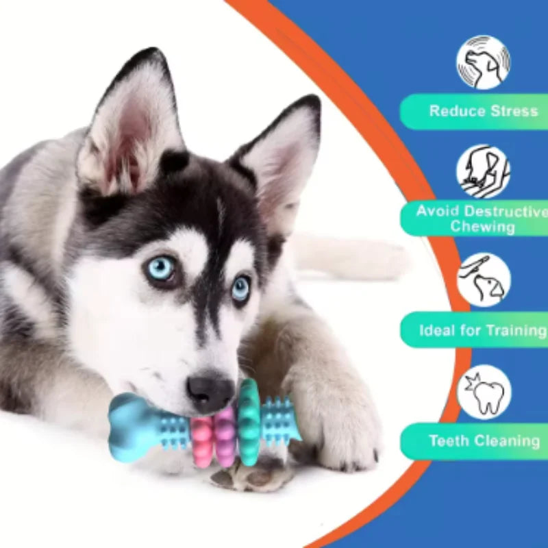 Treat-Dispensing Chew Stick