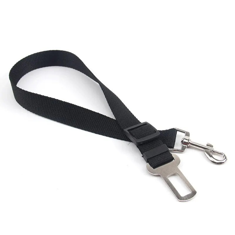 Car Seat Belt Lead with Clip