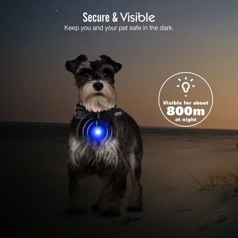 LED Glow Pendant Collar