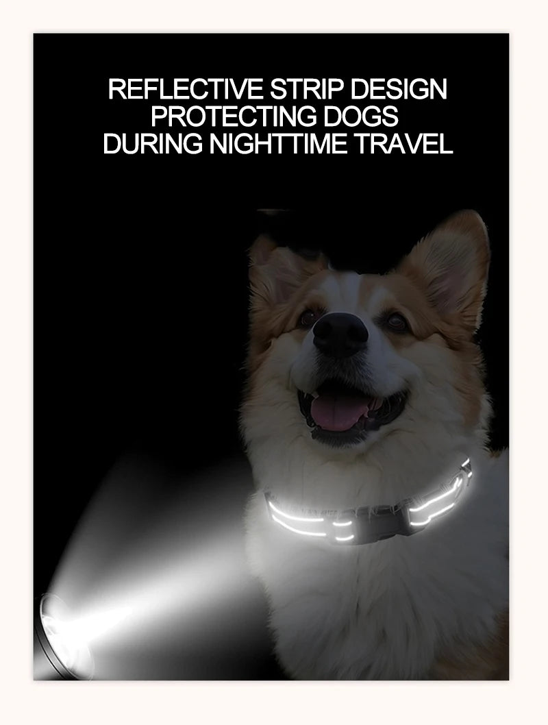 Decorative Small Dog Collar