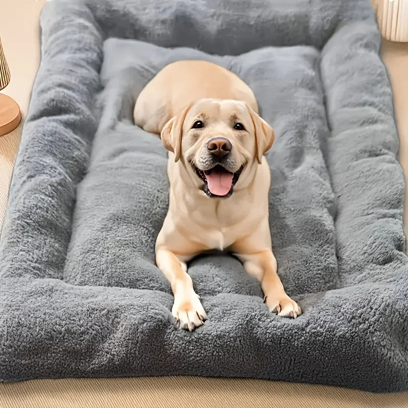 Oversized Plush Sofa Bed