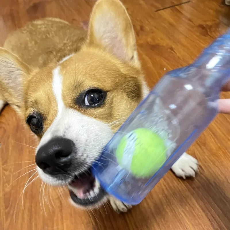 Rubber Bottle Chew Toy with Ball