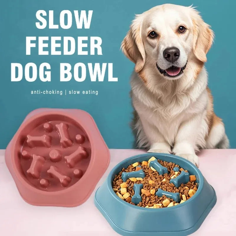 Maze Slow Feeder for Small Dogs