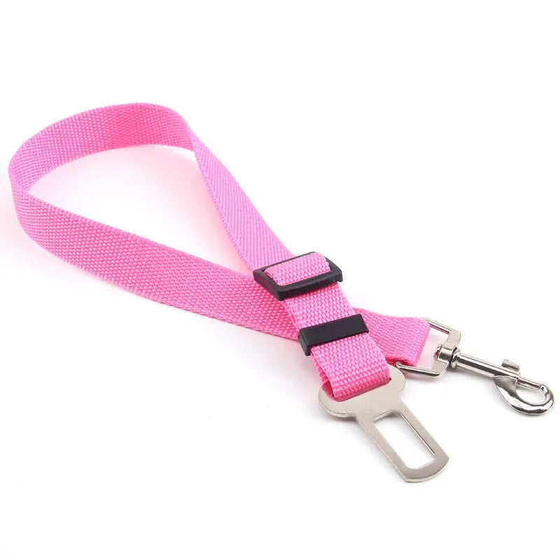 Car Seat Belt Lead with Clip