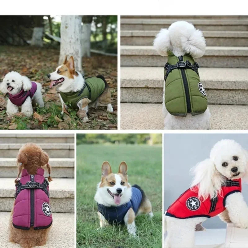 Large Dog Waterproof Harness Coat