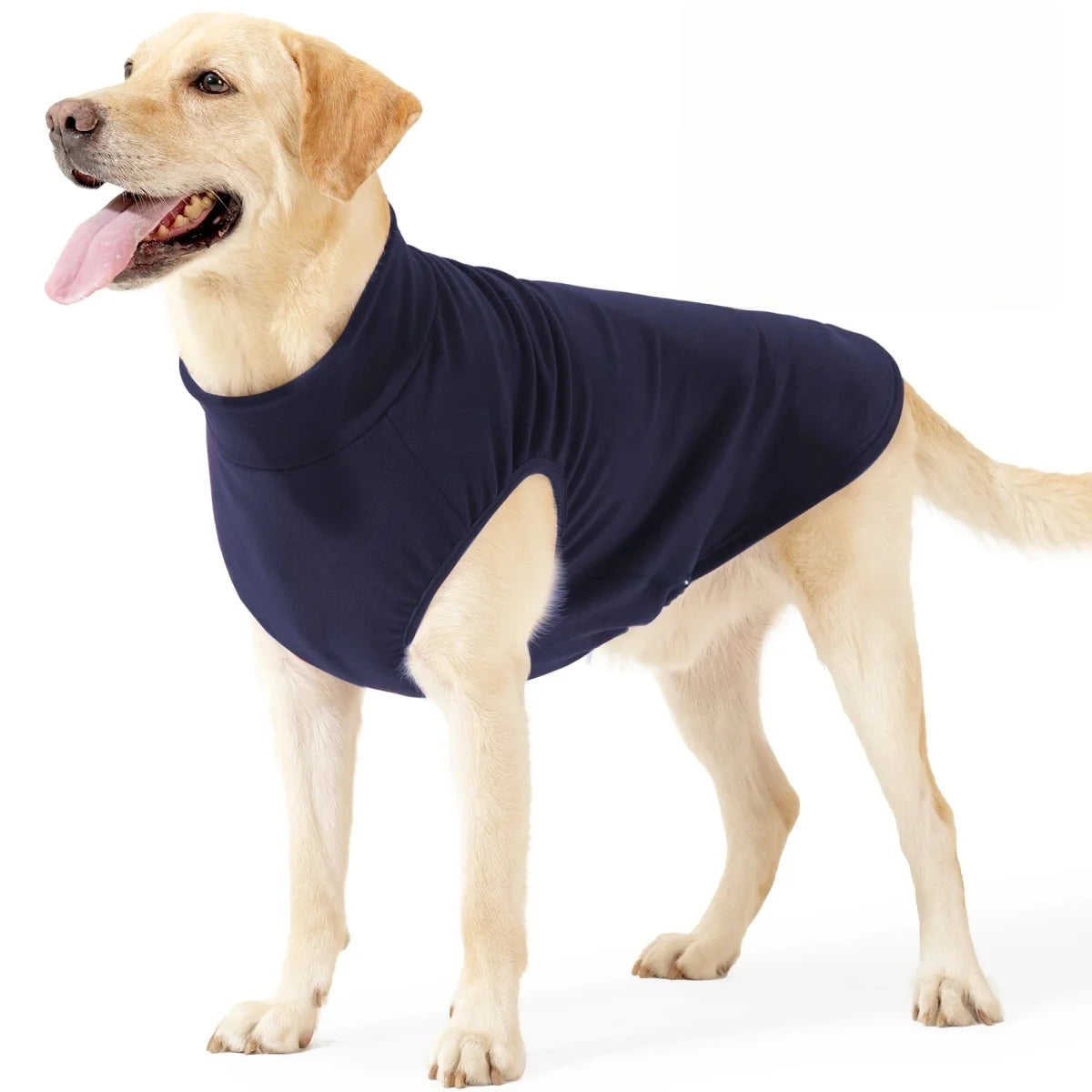 Stretchy Everyday Jumper