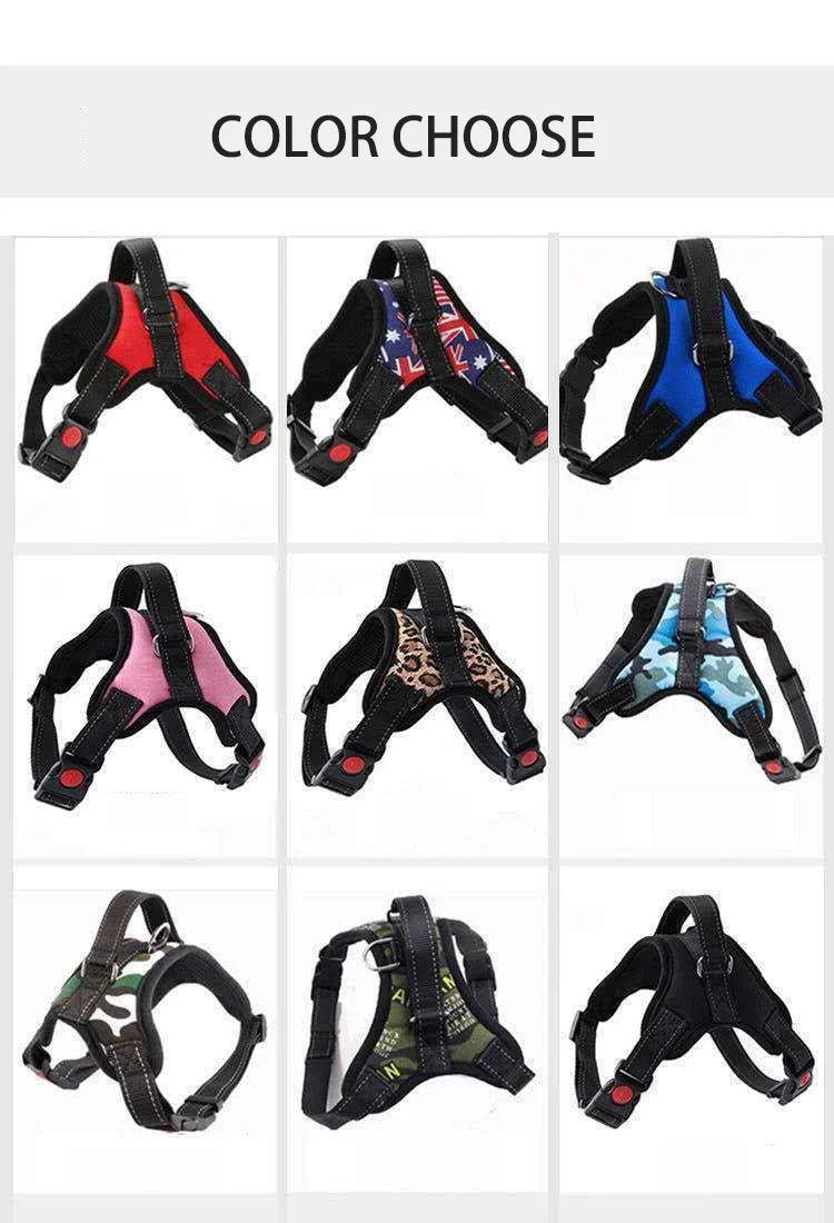 Quick-Release Vest Harness