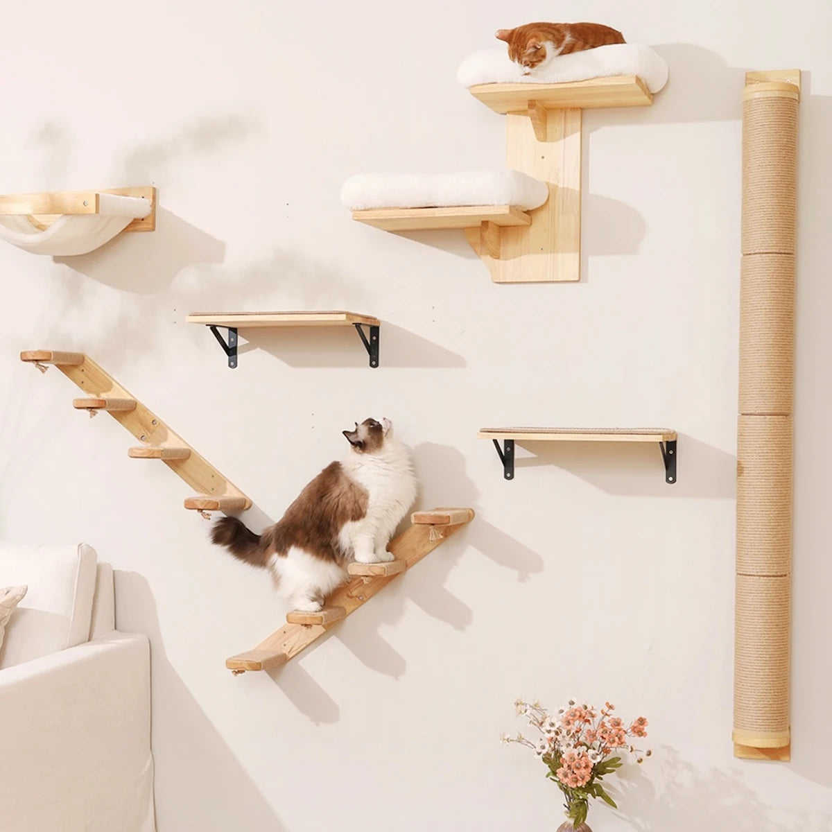 Wall-Mounted Cat Perch & Hammock