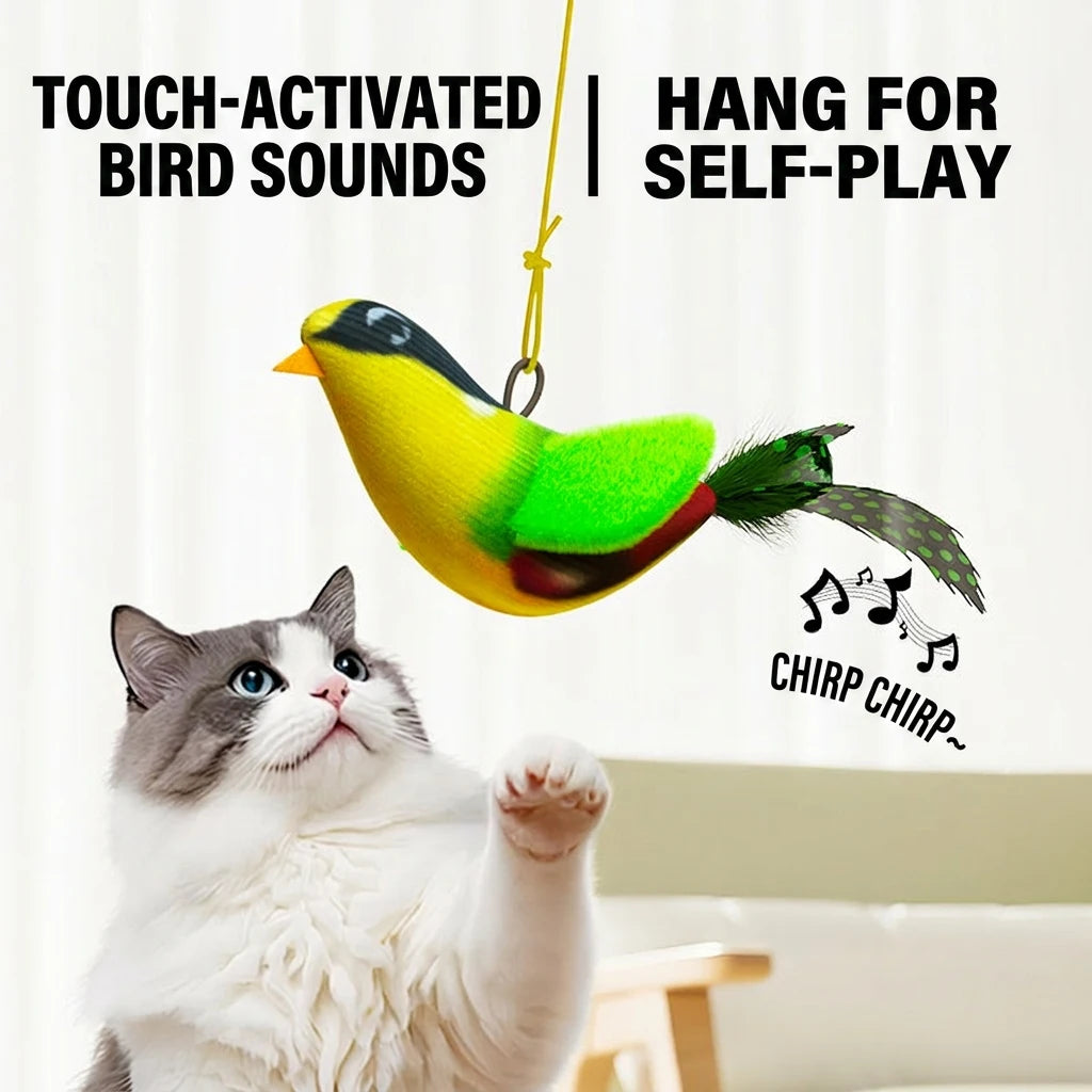 Wall-Hanging Chirping Bird Teaser