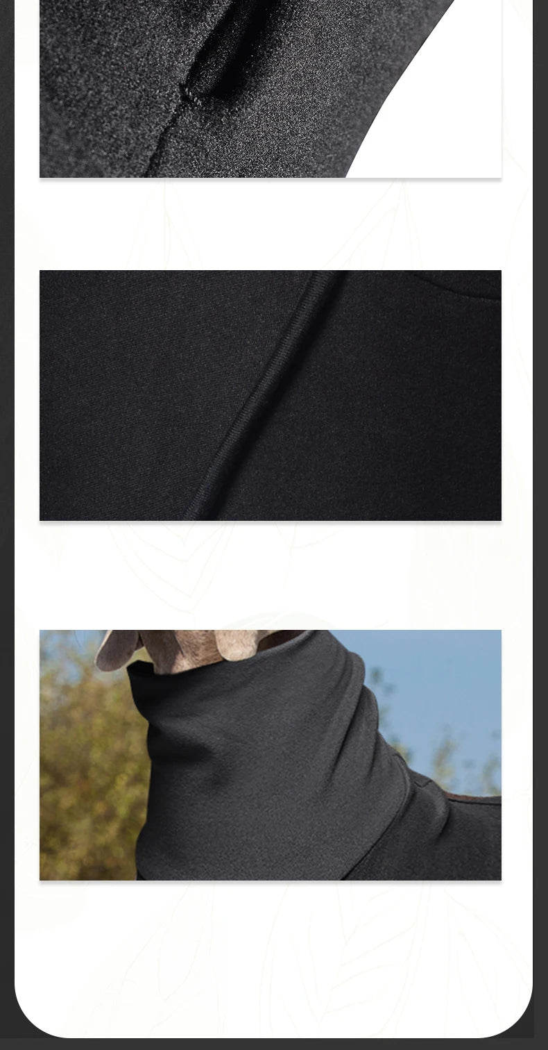 Colour-Block Turtleneck Sweatshirt