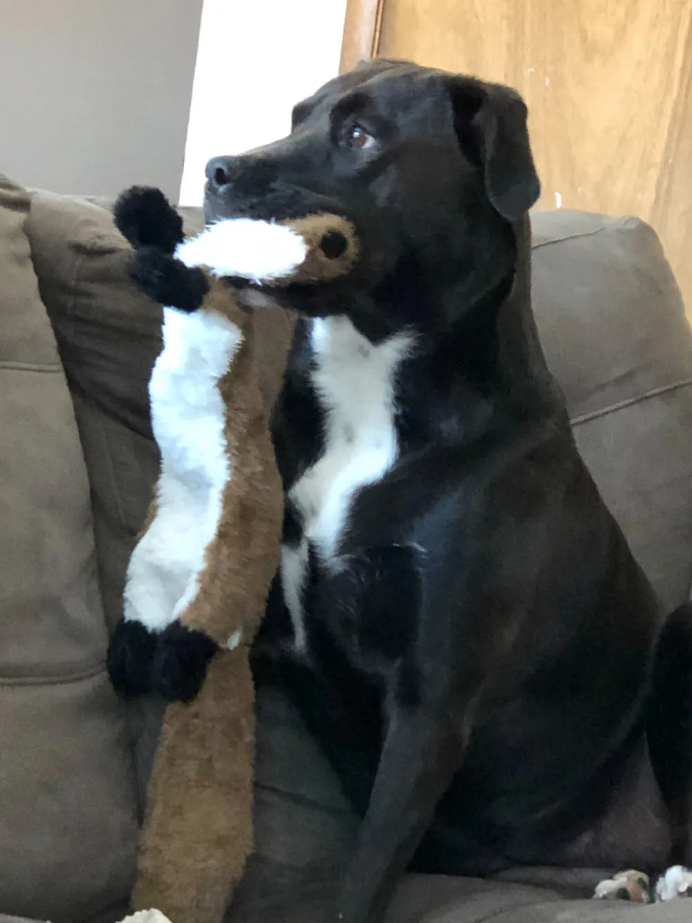 Stuffing-Free Crinkle Animal Toy