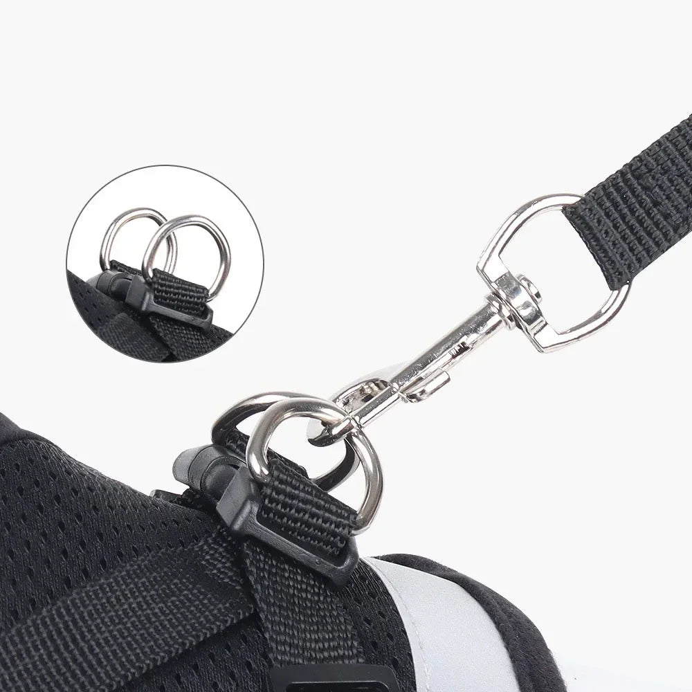 Cat Mesh Harness & Lead Set