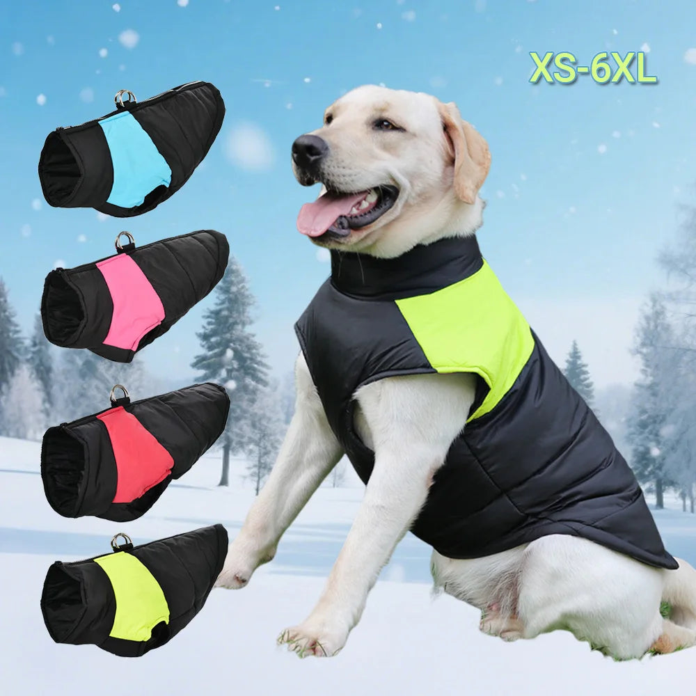 Windproof Padded Jacket with D-Ring