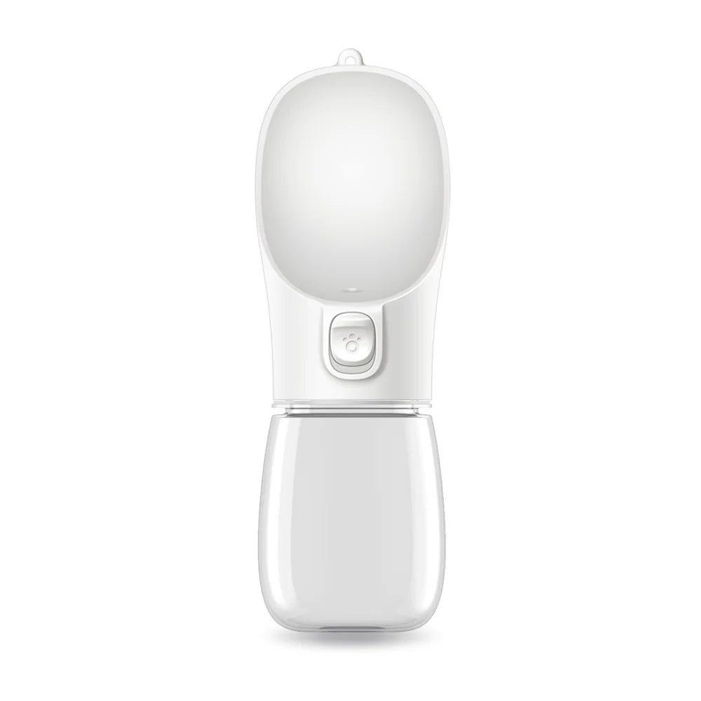 Leak-Proof Travel Water Bottle