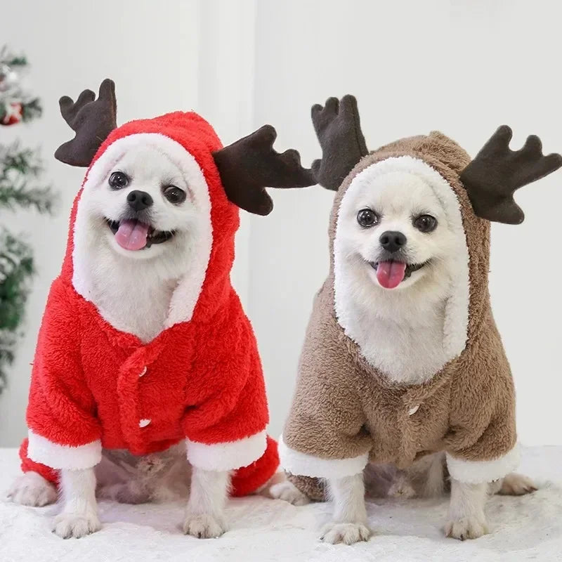 Christmas Elk & Santa Outfit