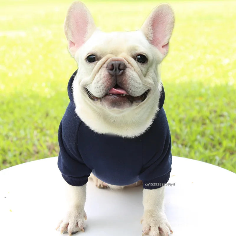 Hooded Sweatshirt for Cats