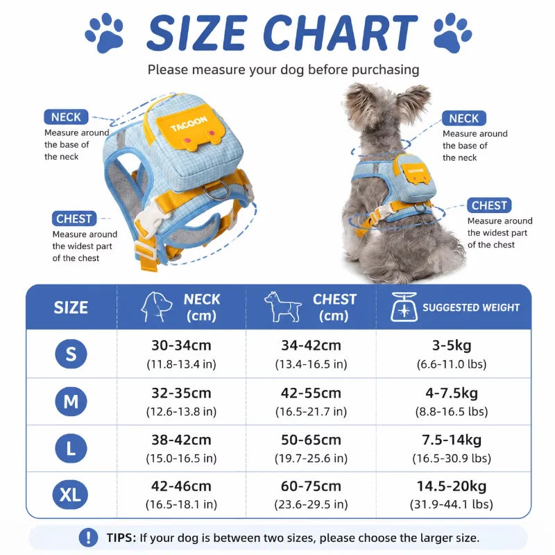 Mini Backpack Harness & Lead