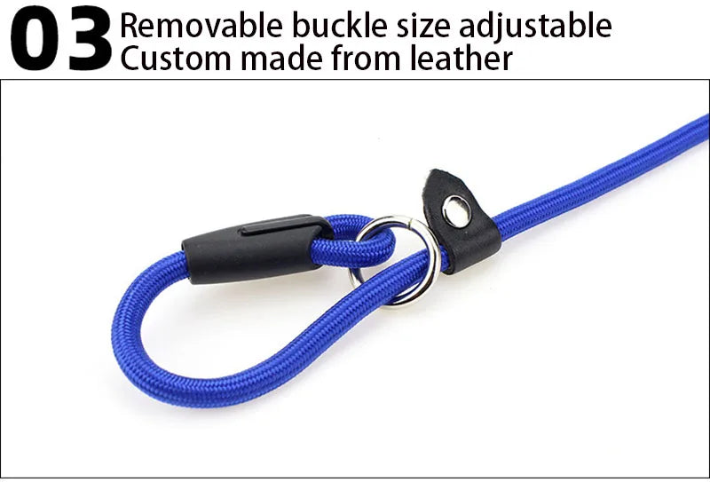Everyday Nylon Lead (130cm)