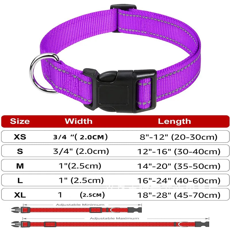 Decorative Small Dog Collar