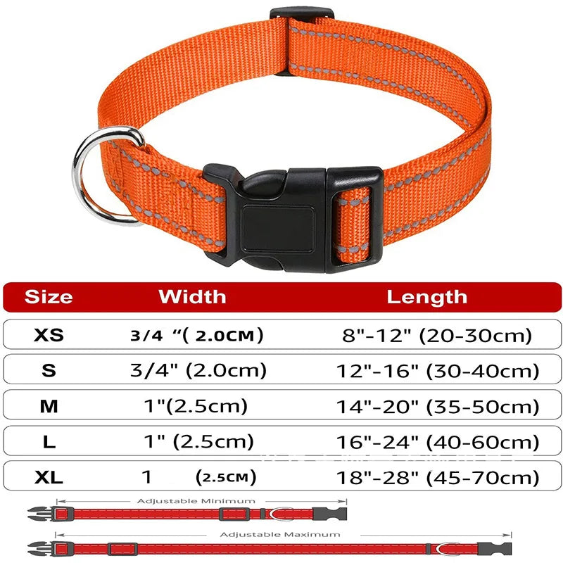 Decorative Small Dog Collar