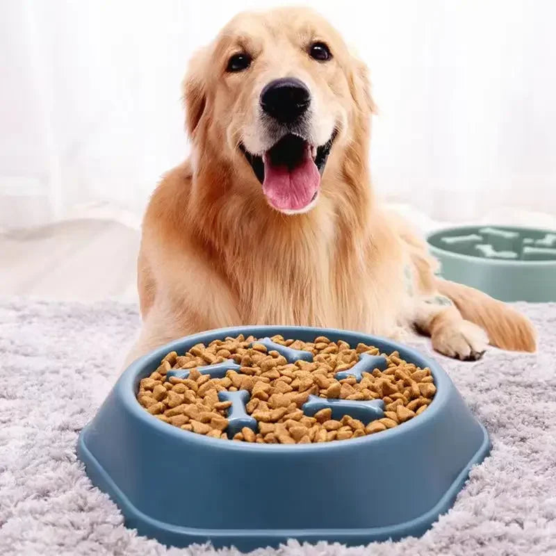 Maze Slow Feeder for Small Dogs