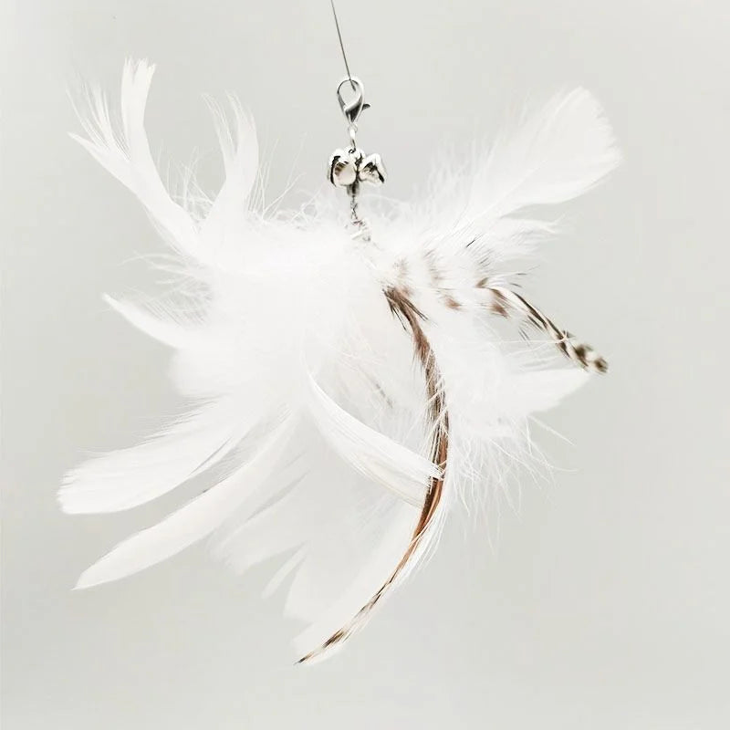 Suction Cup Feather Wand