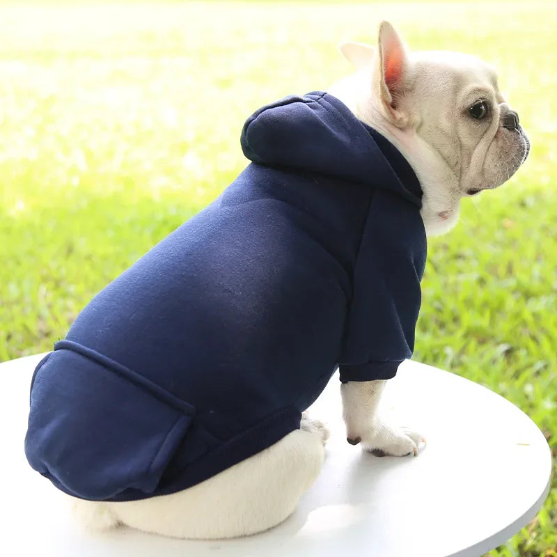 Hooded Sweatshirt for Cats
