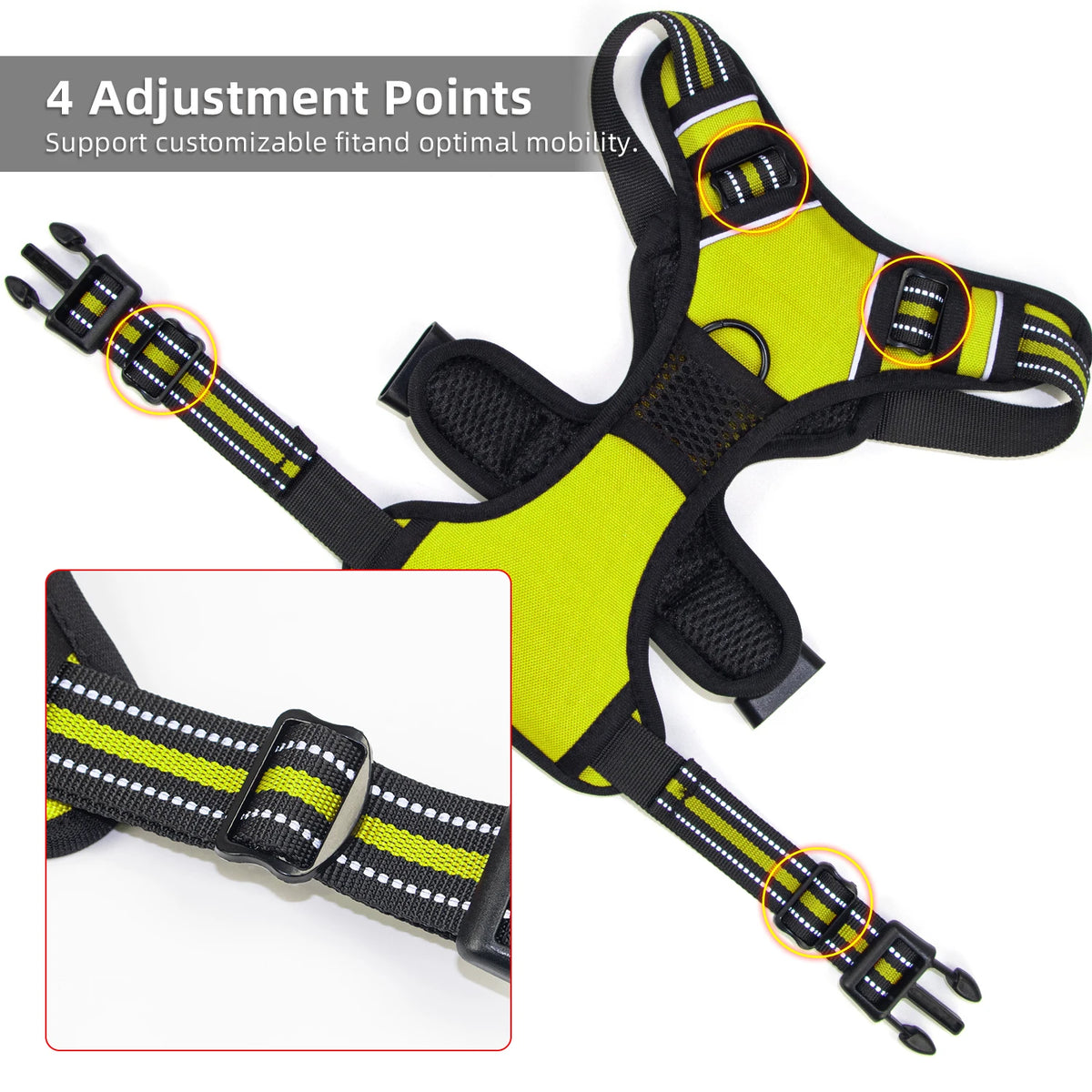 Adjustable Harness with Handle