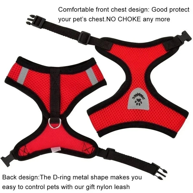 Mesh Harness Vest & Lead