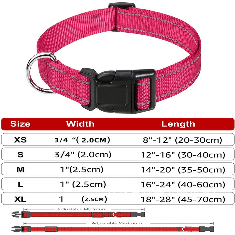 Decorative Small Dog Collar