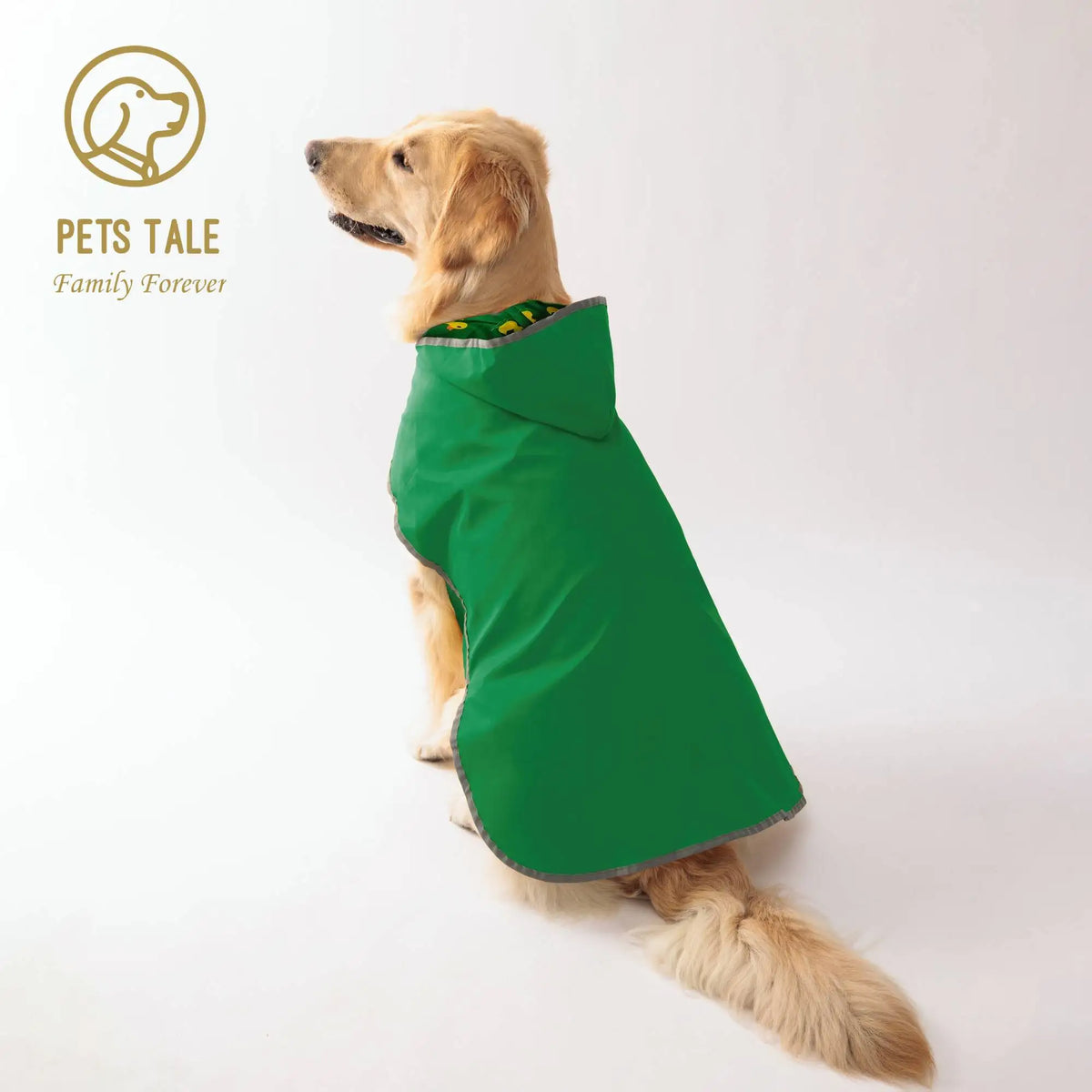 Reversible Yellow Raincoat