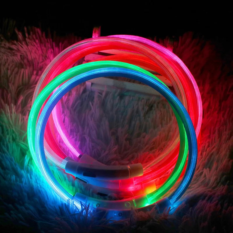 USB Rechargeable LED Collar