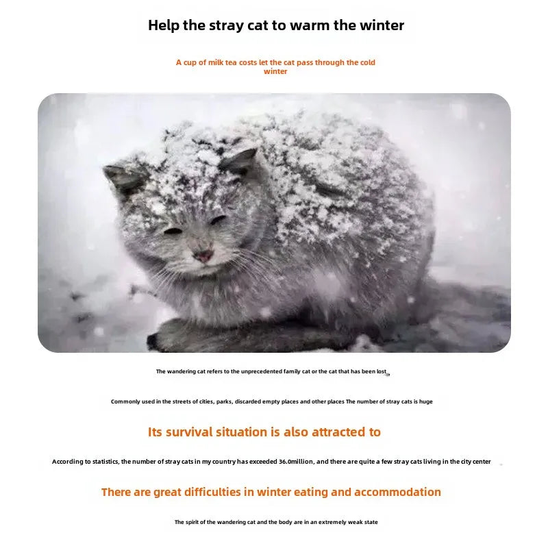 Winter Outdoor Cat House