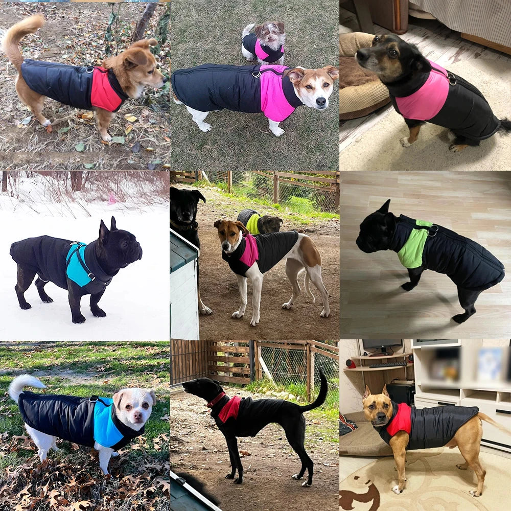 Windproof Padded Jacket with D-Ring