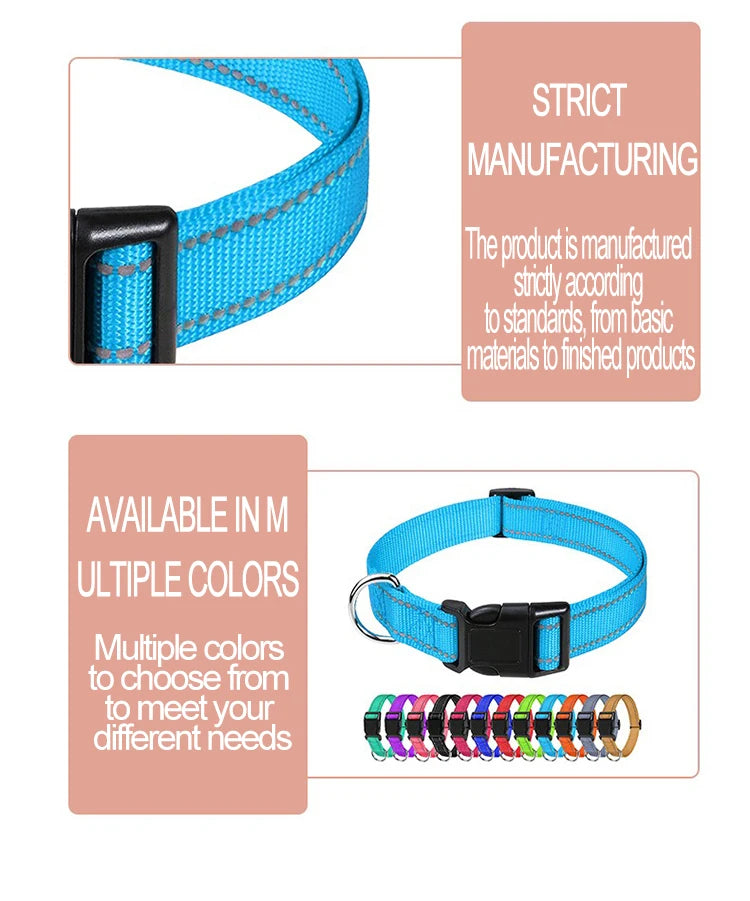 Decorative Small Dog Collar