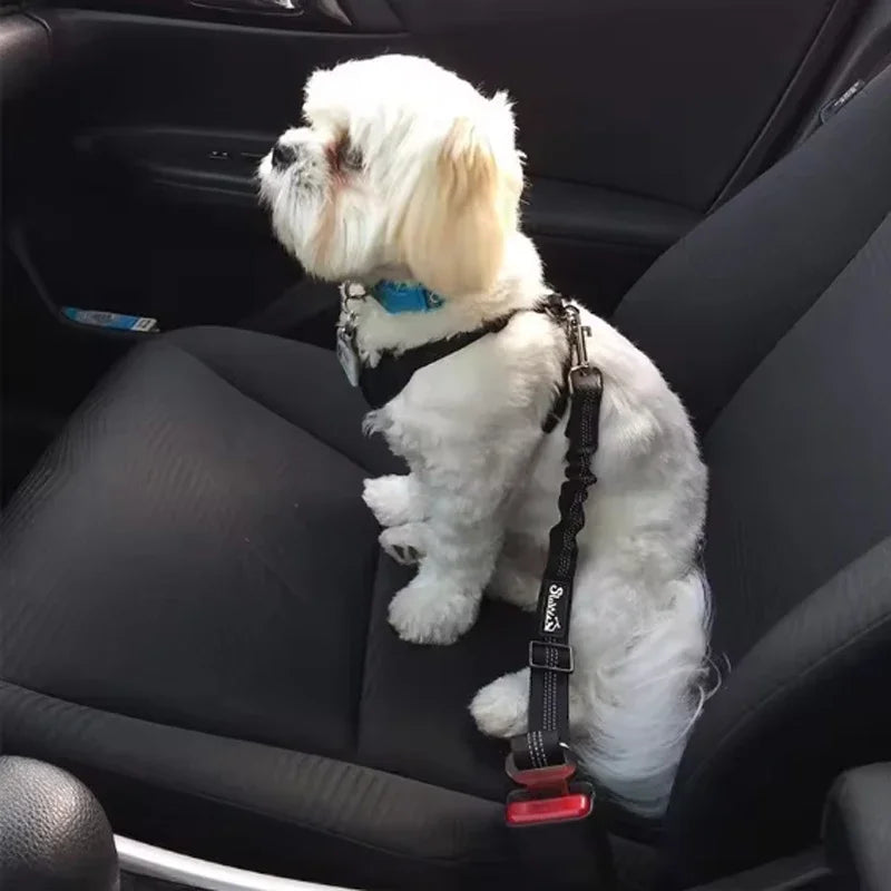 Reflective Car Seat Belt with Bungee