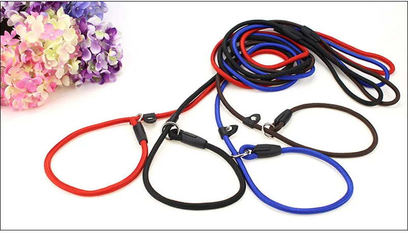 Everyday Nylon Lead (130cm)