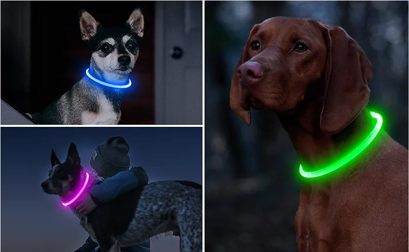 USB Rechargeable LED Collar