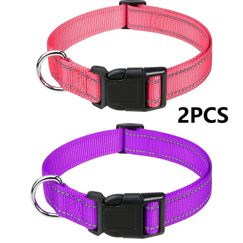 Decorative Small Dog Collar