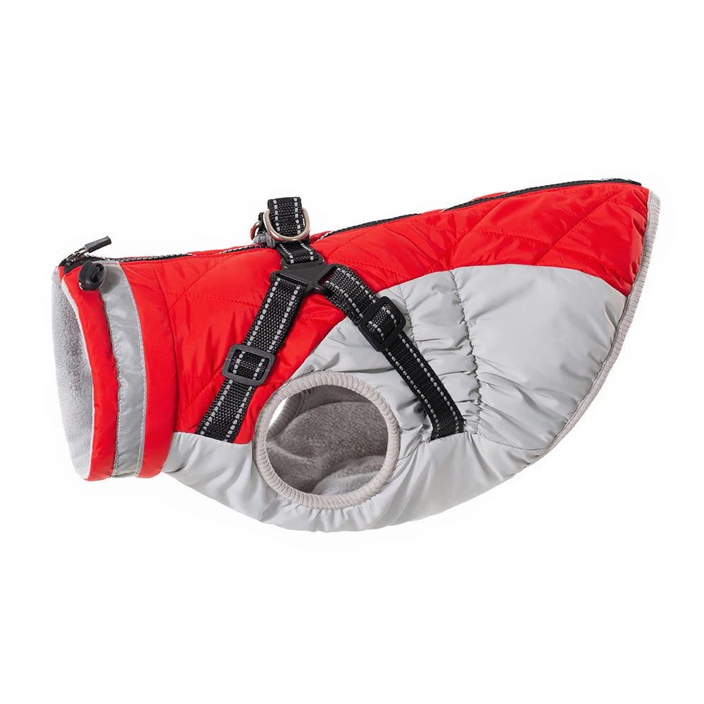 Winter Jacket with Built-In Harness
