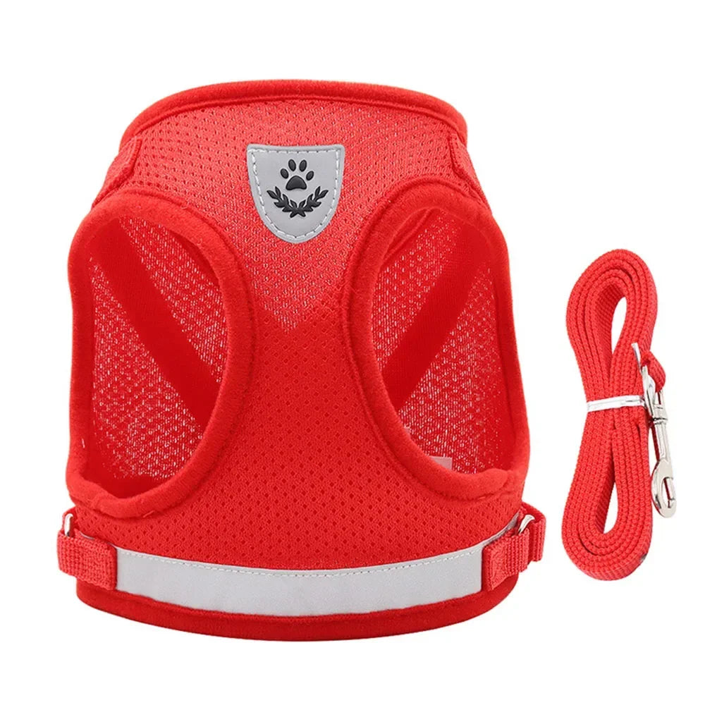 Cat Mesh Harness & Lead Set