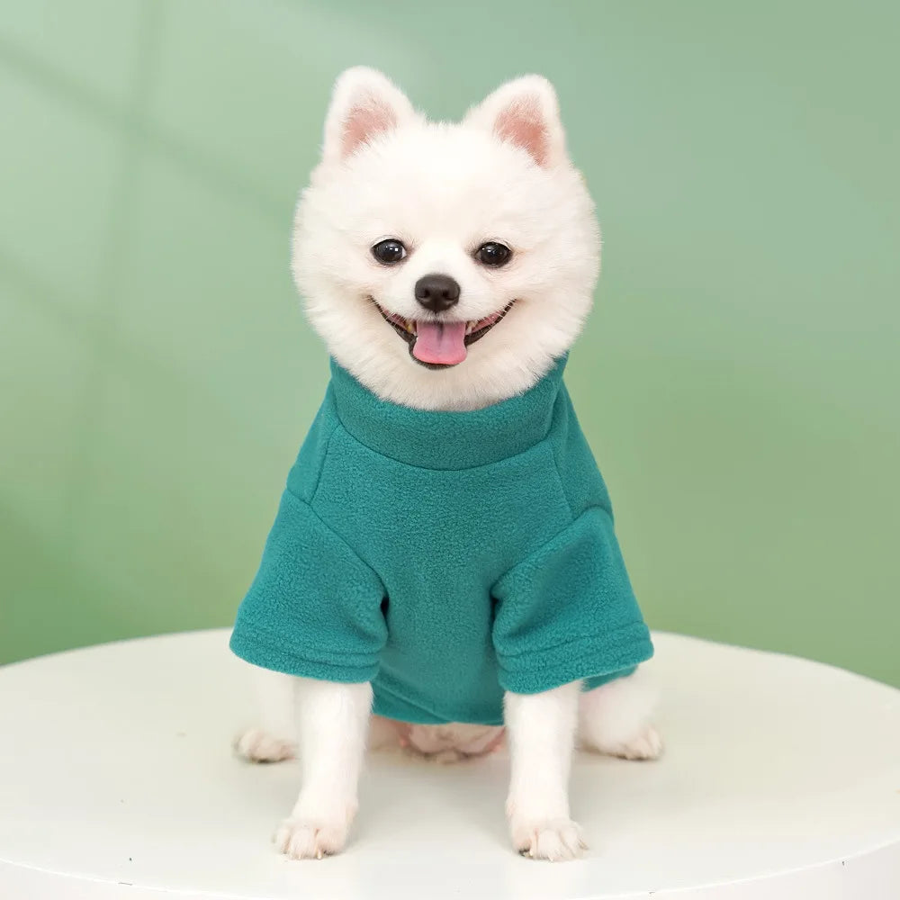 Classic Solid Hoodie