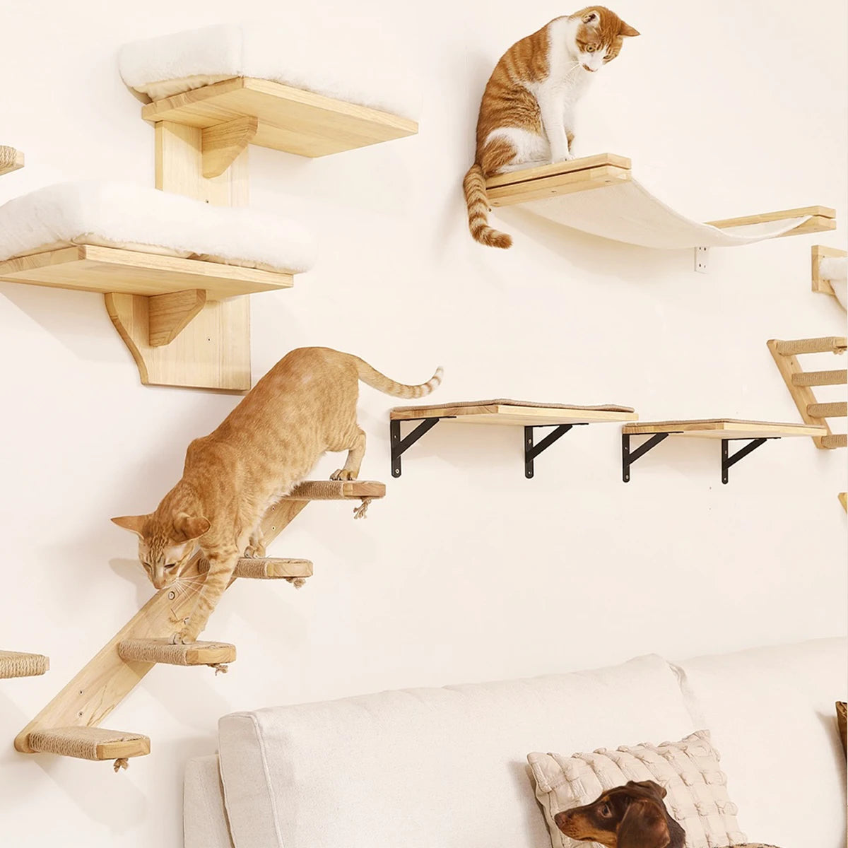 Wall-Mounted Cat Perch & Hammock